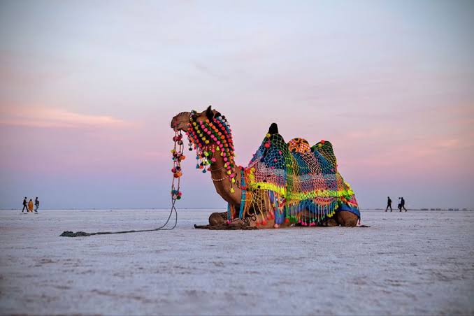 Rann of Kutch Gujarat